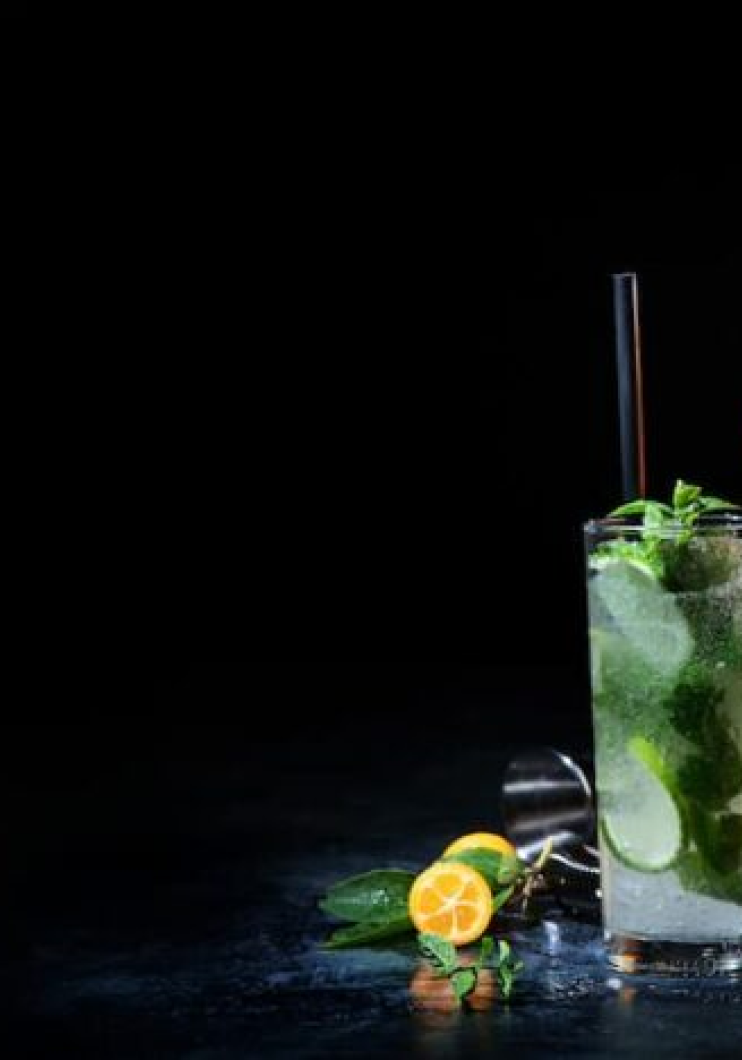 receitas-drinks-vodka-1024x468